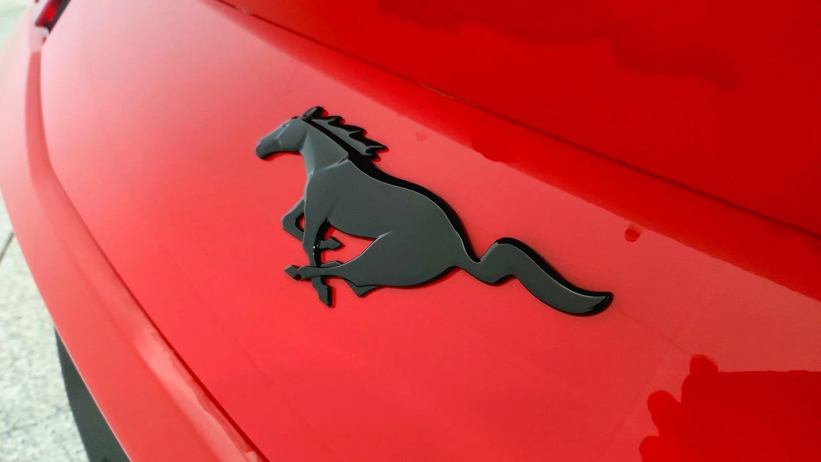 Used 2025 Race Red Ford EcoBoost image 33