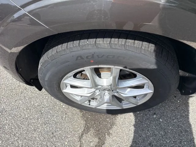 Photo 19