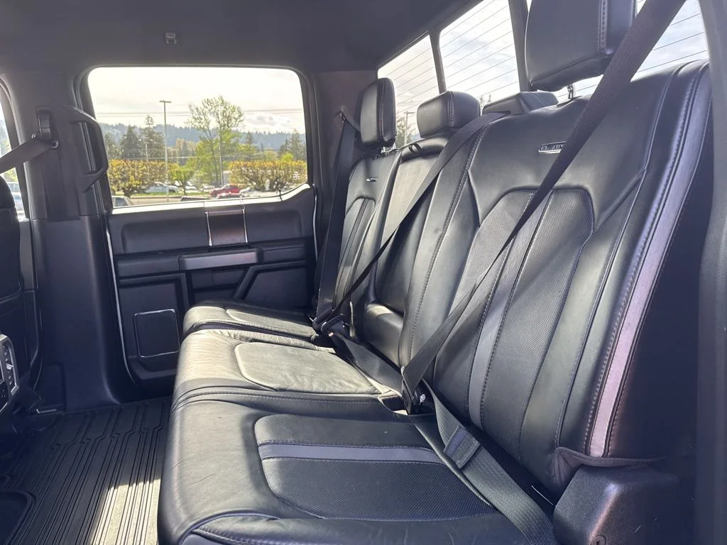 Used 2019 Ingot Silver Ford Platinum image 29
