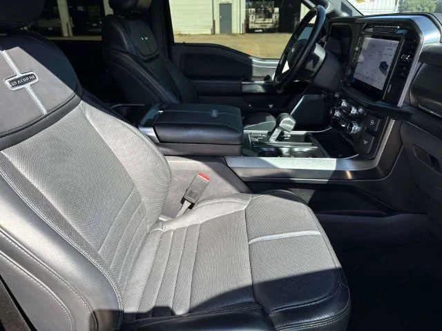 Used 2024 Blue Ford Platinum image 17