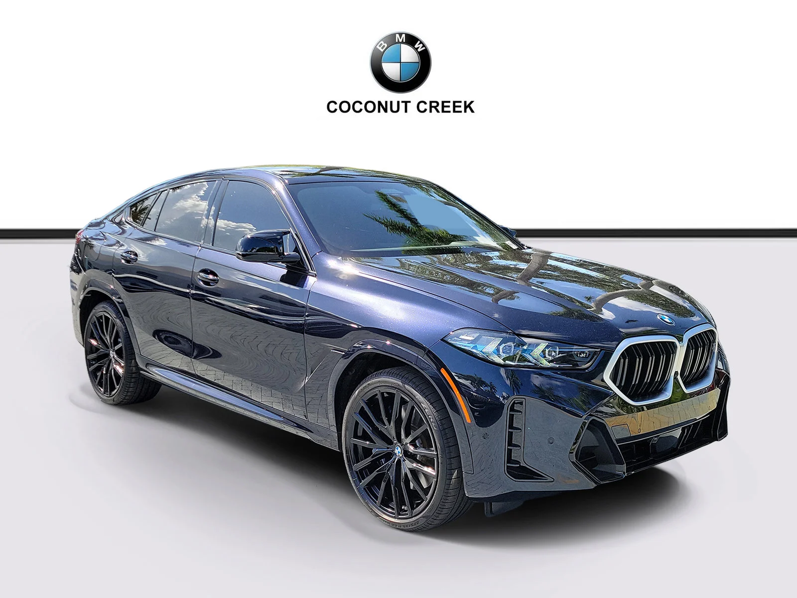 2025 BMW X6 M60i's photo