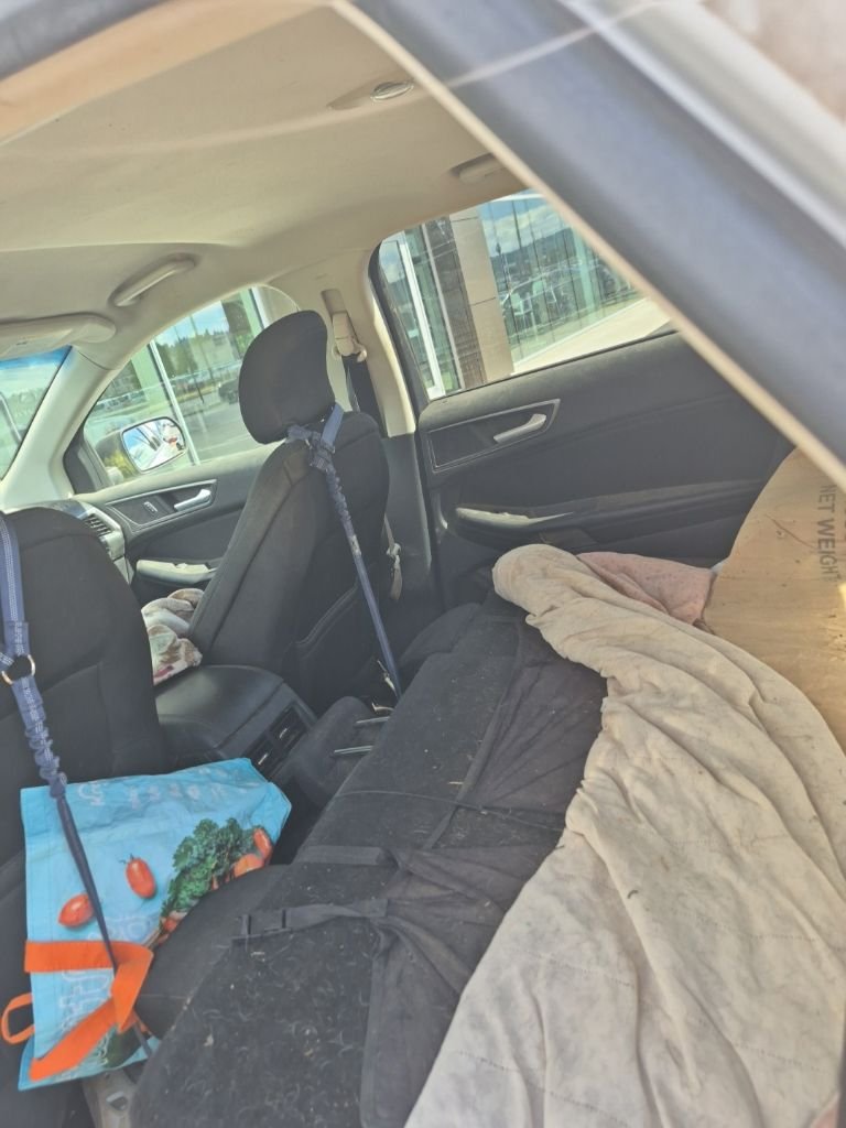 Used 2015 Oxford White Ford SE image 10