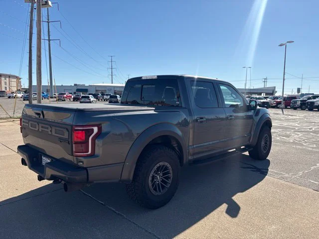 Used 2019 Magnetic Ford Raptor image 4