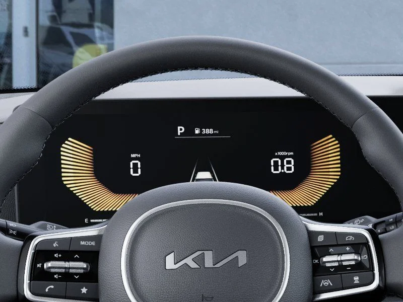 New 2026 Panthera Metal Kia LXS image 21