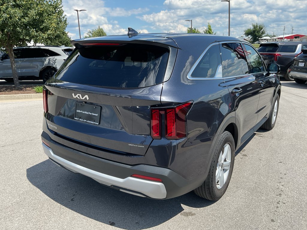 Used 2025 Panthera Metal Kia LX image 9