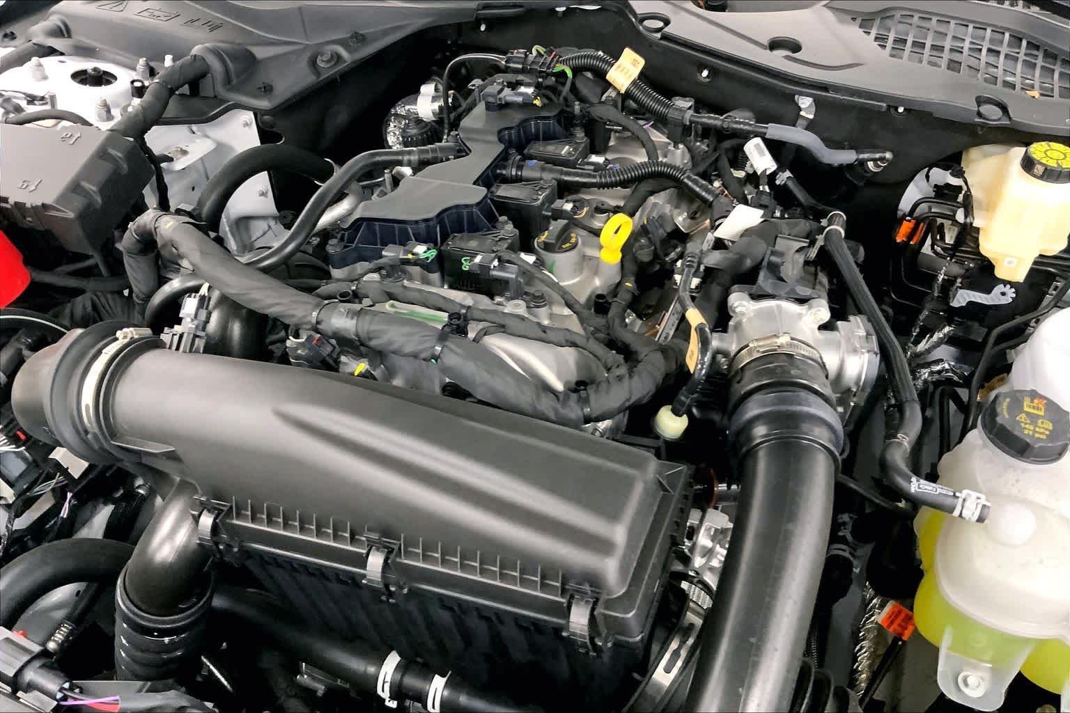 New 2026 Oxford White Ford EcoBoost® Fastback image 16