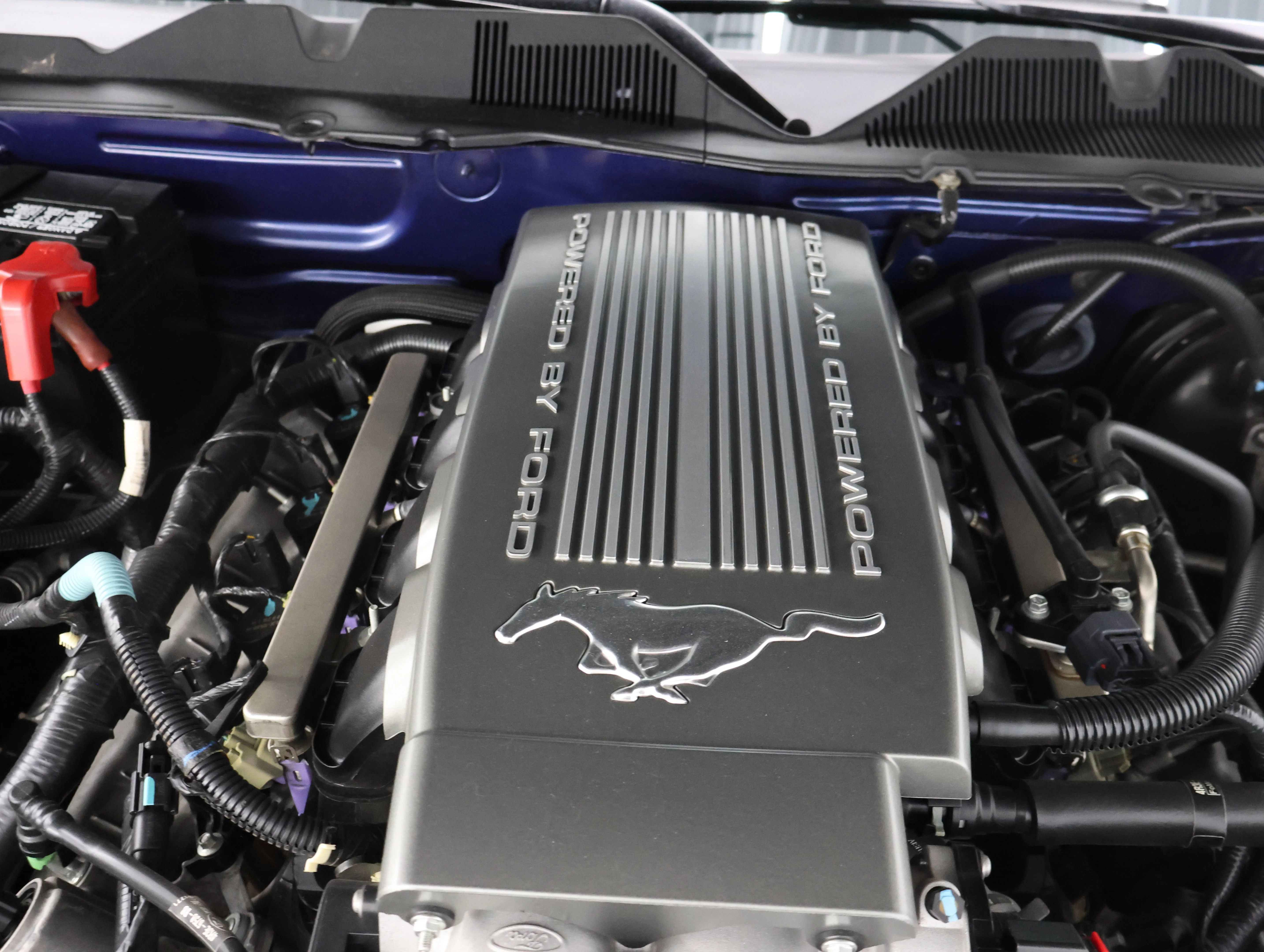 Used 2010 Kona Blue Metallic Ford GT Premium image 18