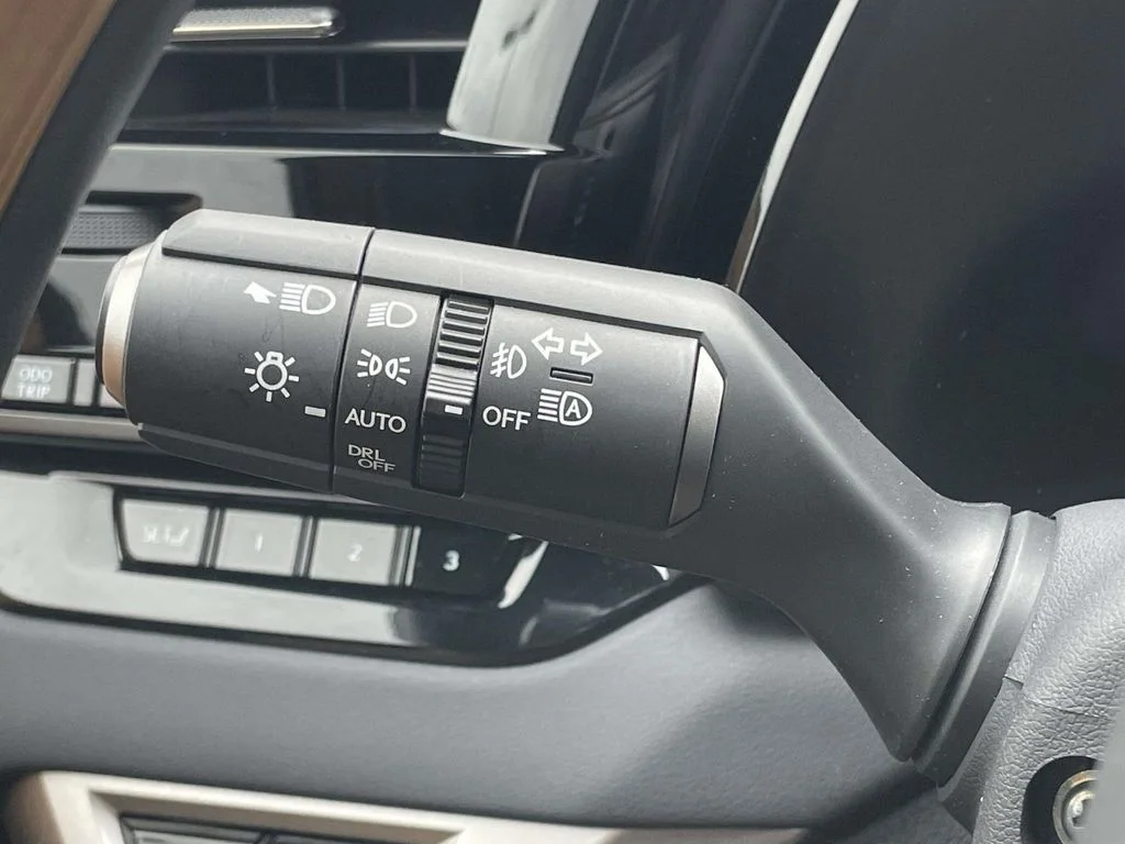 2025 Lexus RX 350 - Photo 13