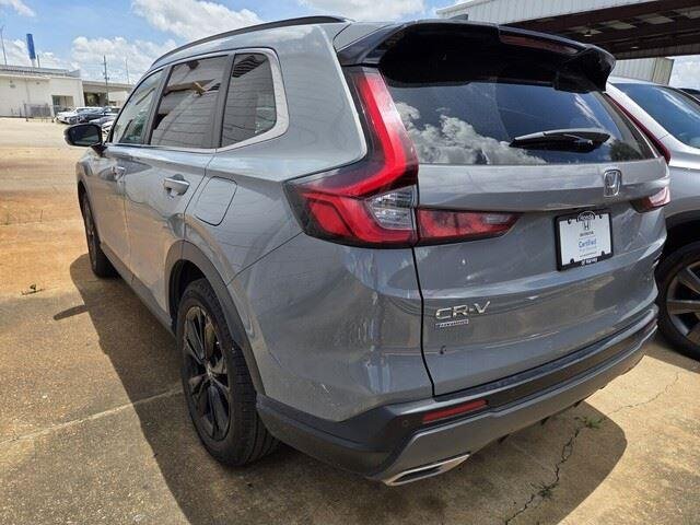 Used 2025 Urban Gray Pearl Honda  image 6