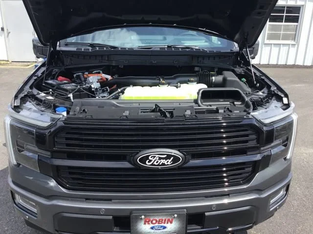 2025 Ford F-150 Platinum - Photo 22