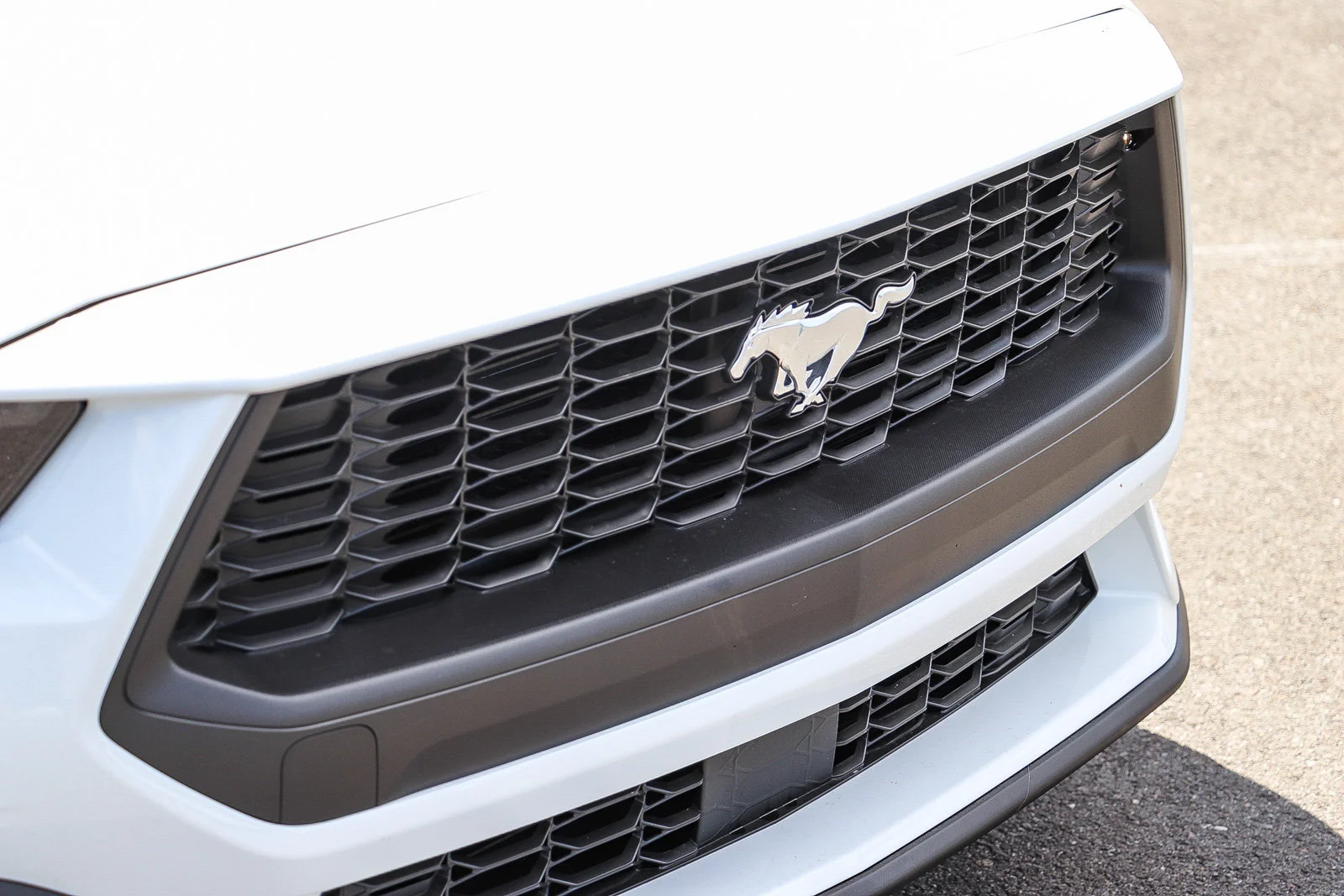 New 2026 Oxford White Ford EcoBoost® Fastback image 5