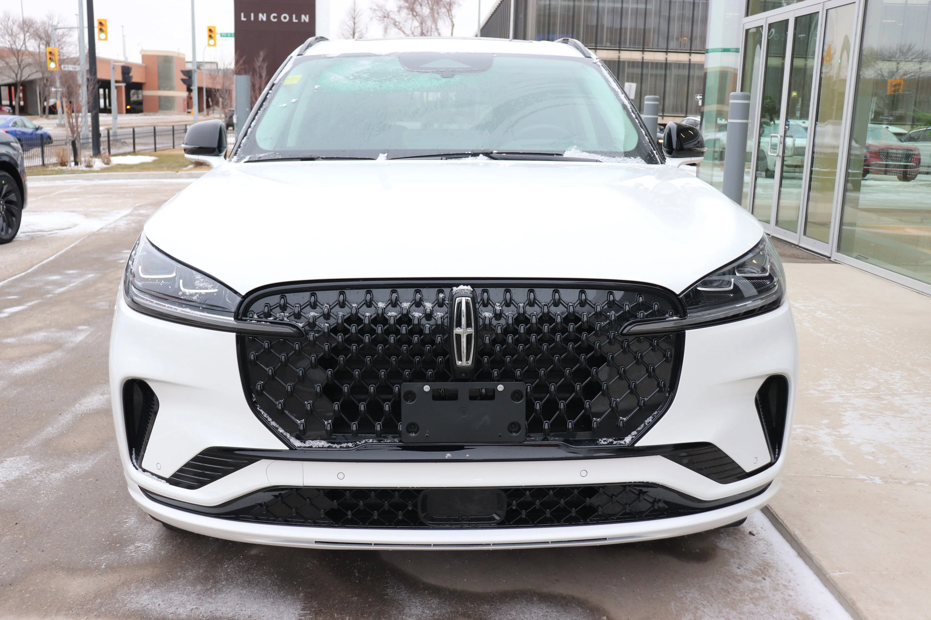 New 2026 PRISTINE WHITE MET 3C Lincoln Reserve image 2