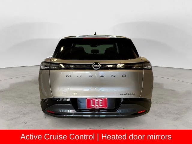 New 2027 Silver Nissan Platinum image 5