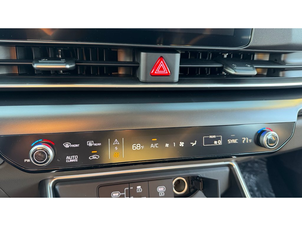 New 2026 Panthera Metal Kia LX image 20