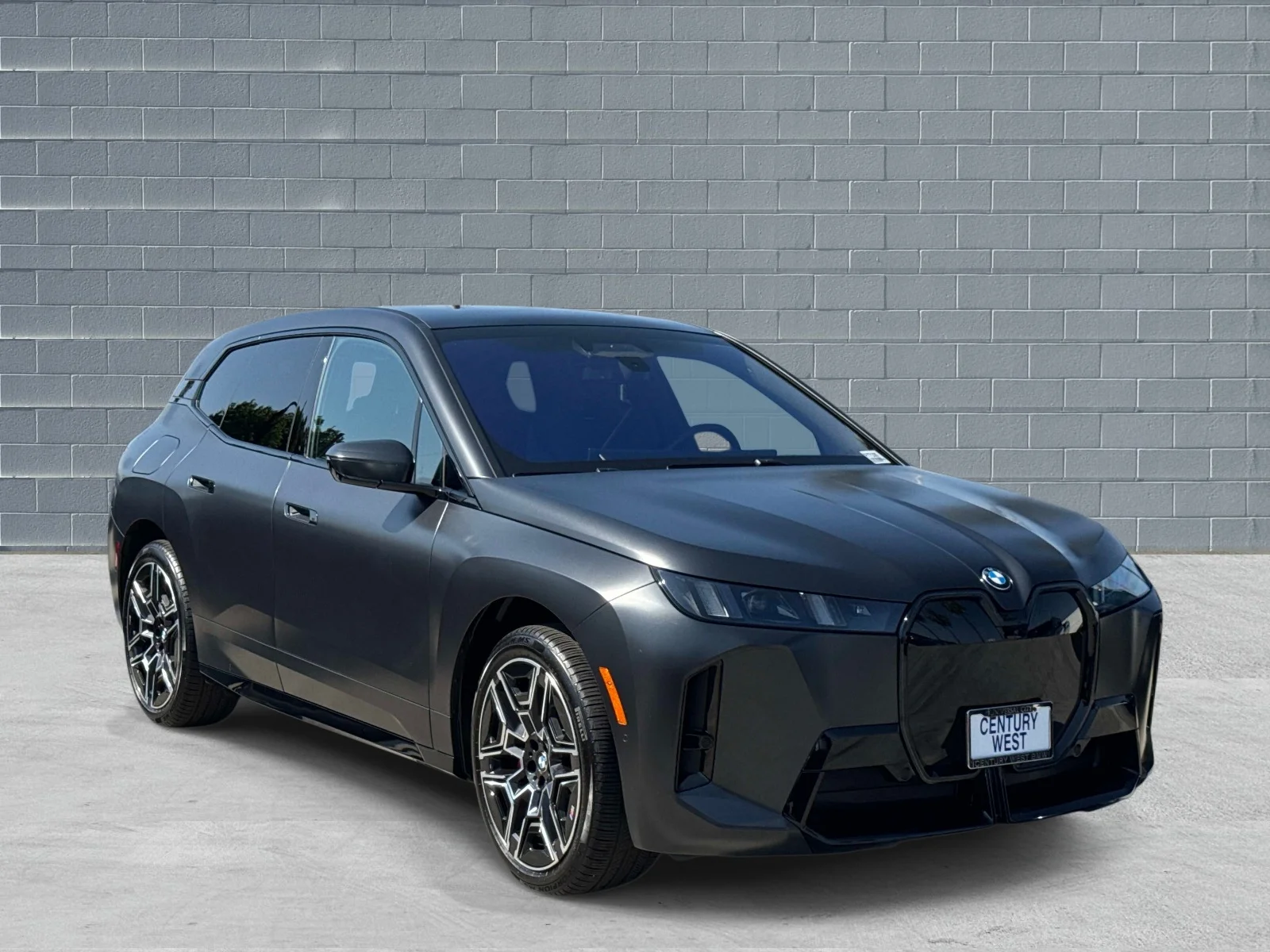 2026 BMW iX xDrive60's photo