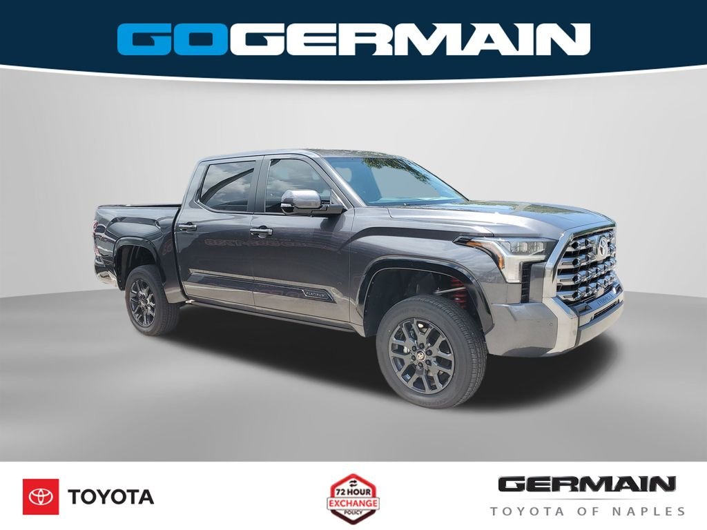 New 2026 Magnetic Gray Metallic Toyota  Platinum image 5