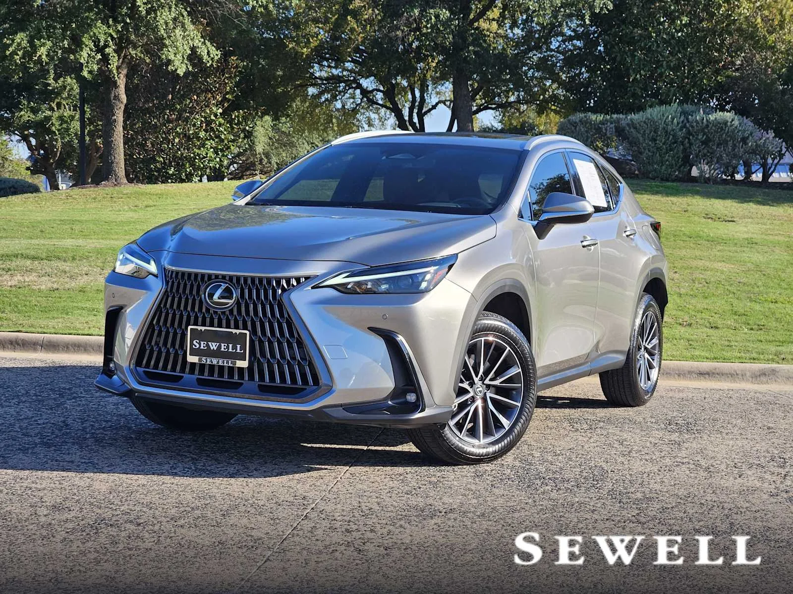 2025 Lexus NX