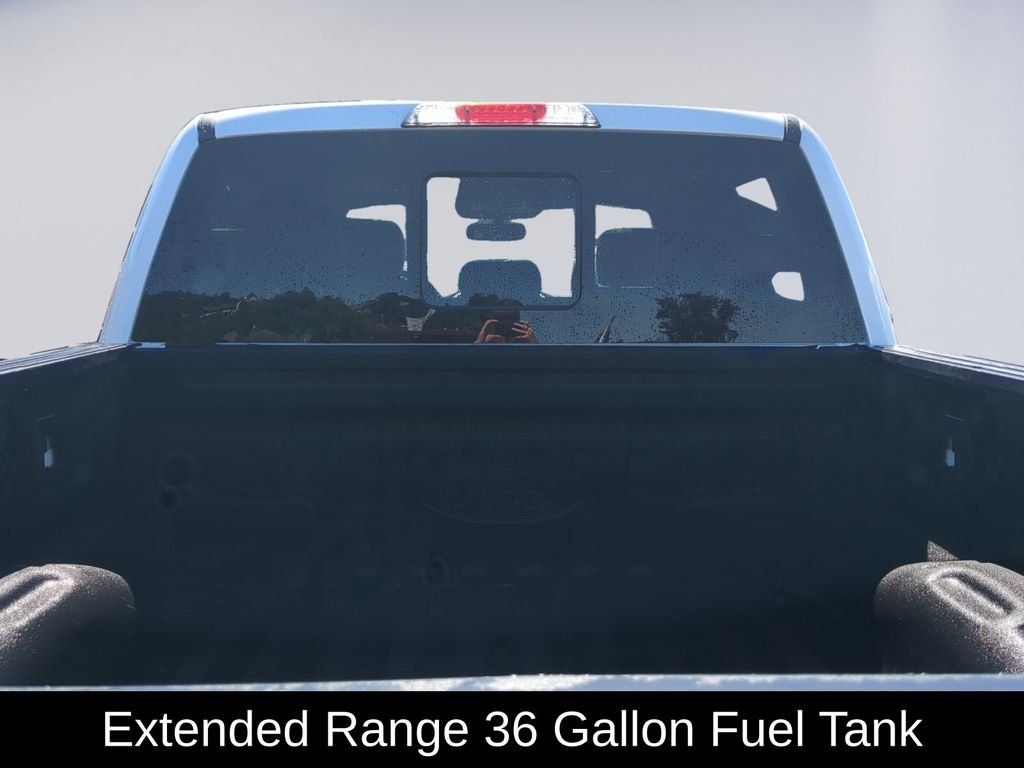 Used 2019 White Ford Platinum image 17
