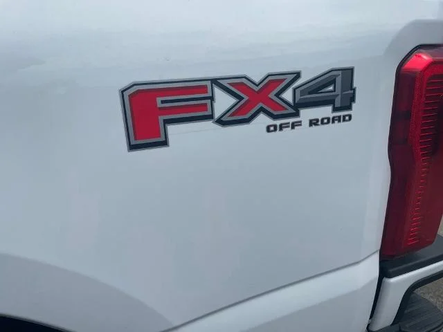 Photo 41