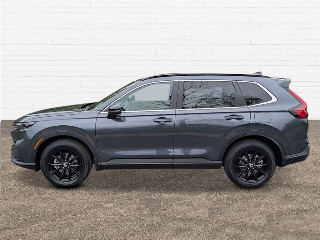 New 2026 Meteorite Gray Metallic Honda Sport image 3