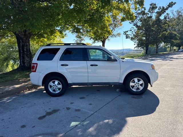 Used 2010 Beige Ford XLT image 8