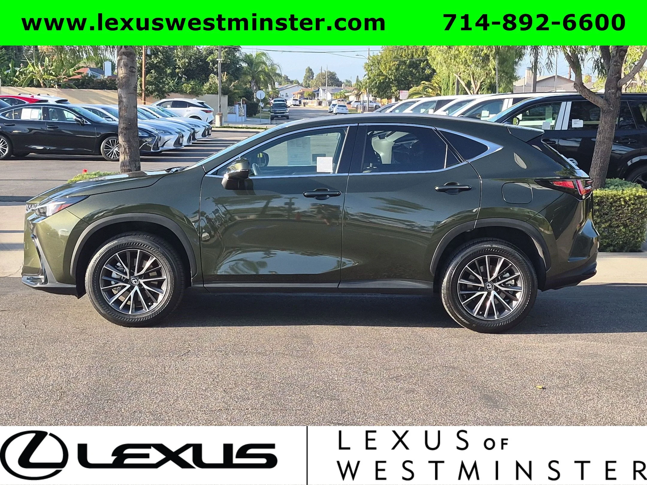 Certified Used 2023 Nori Green Pearl Lexus NX 350 image 13