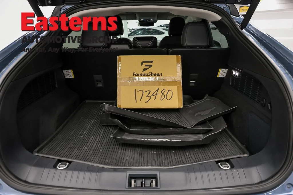Used 2024 Blue Ford Premium image 9