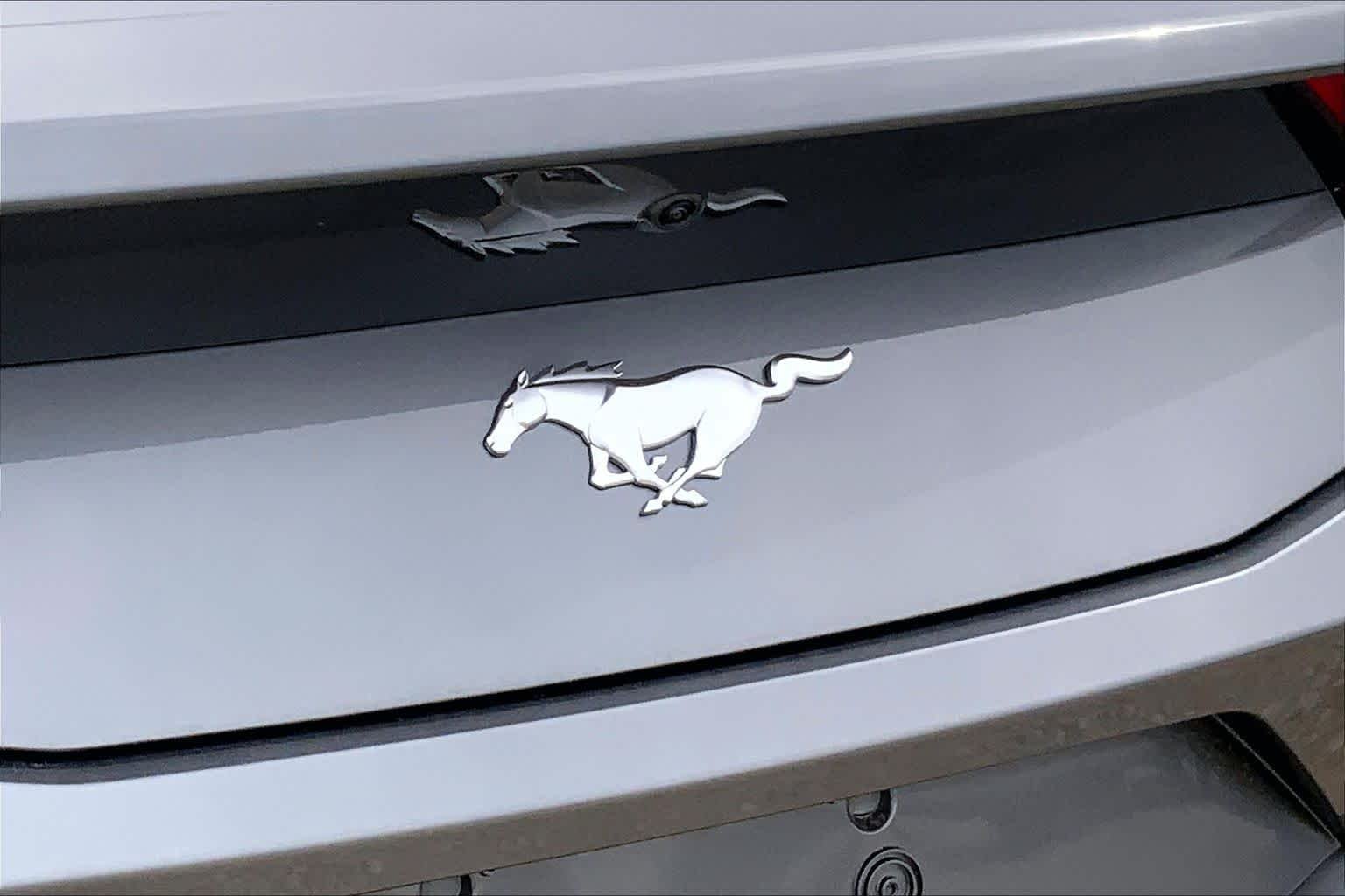 New 2026 Carbonized Gray Metallic Ford EcoBoost® Fastback image 13