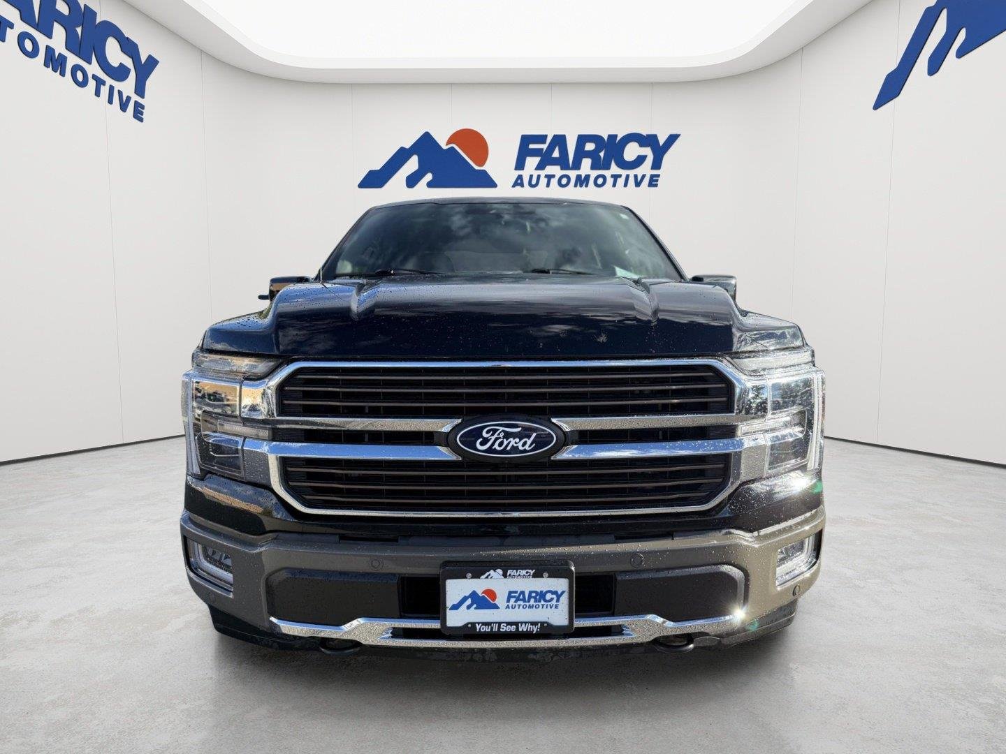 Used 2025 Agate Black/Marsh Gray Ford King Ranch image 8
