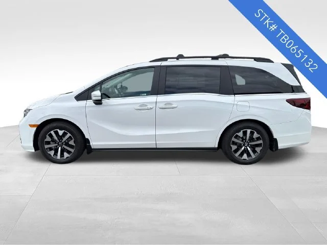 New 2026 Platinum White Pearl Honda EX-L image 4