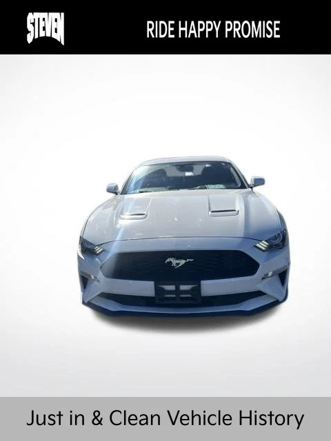 Used 2020 White Ford EcoBoost Premium image 2
