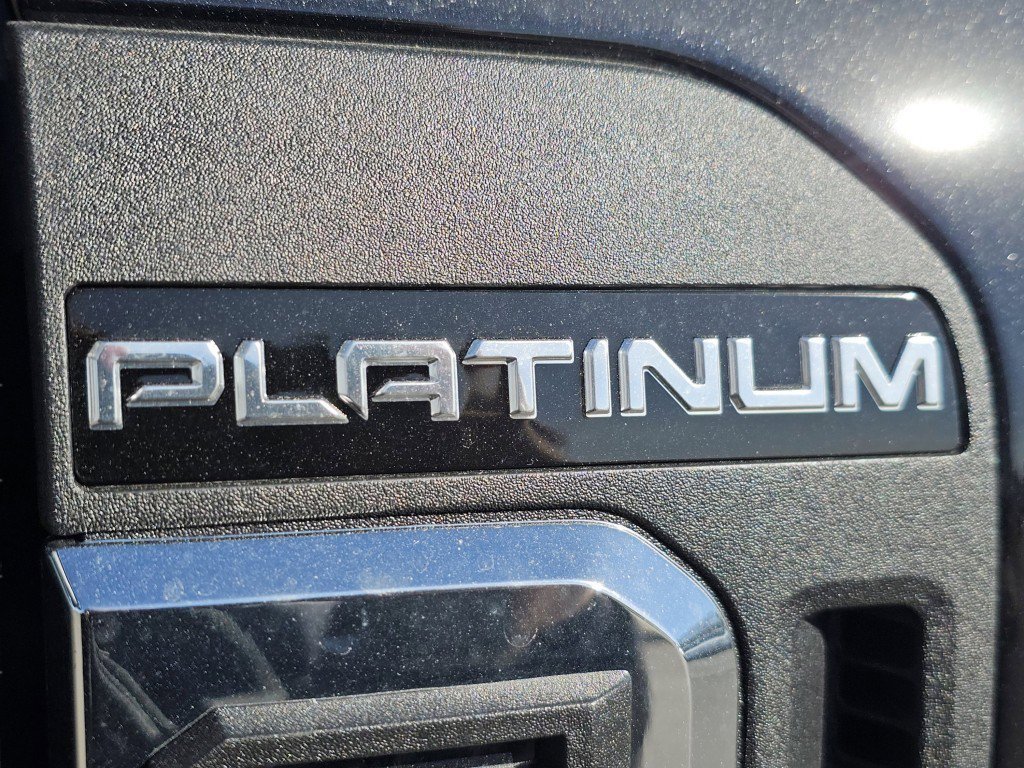 New 2026 Agate Black Metallic Ford Platinum image 21