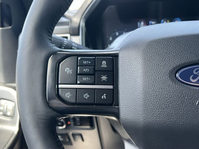 2024 Ford F-150 Platinum - Photo 19