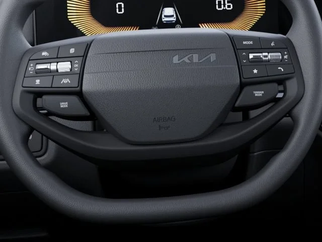 New 2026 Panthera Metal Gray Kia LX image 22
