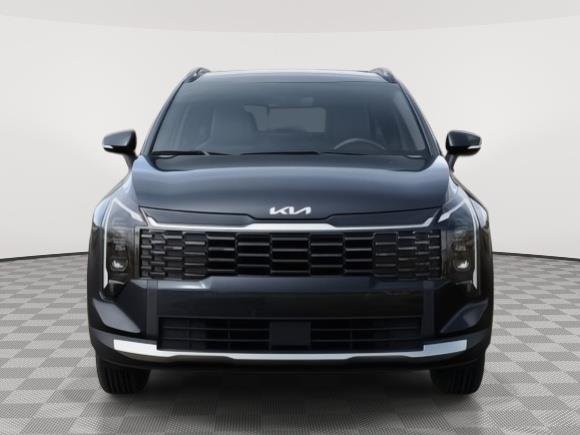New 2026 Panthera Metal Kia EX image 21
