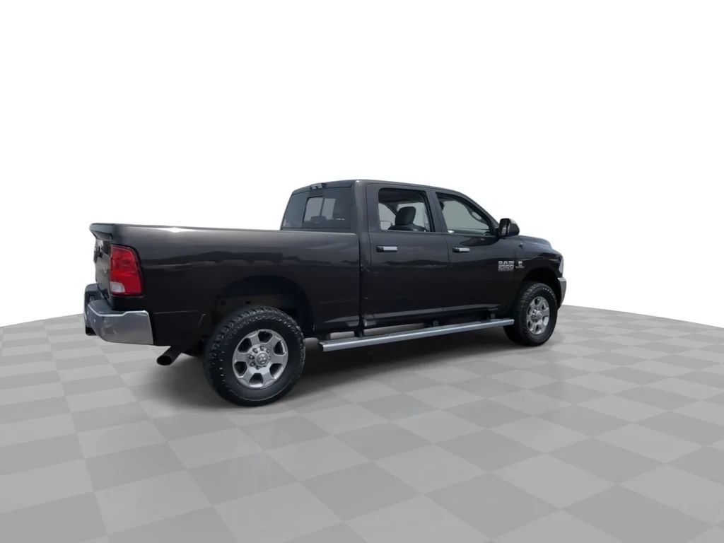 Used 2017 Brown Ram Lone Star image 8