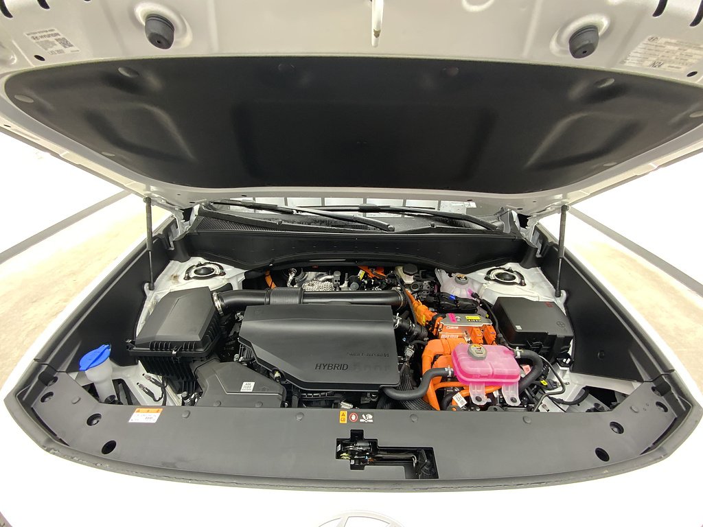 New 2027 Creamy White Pearl Hyundai SEL 7P image 6