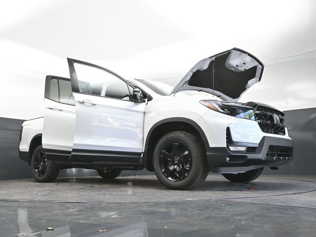 New 2026 Platinum White Pearl Honda Black Edition image 34