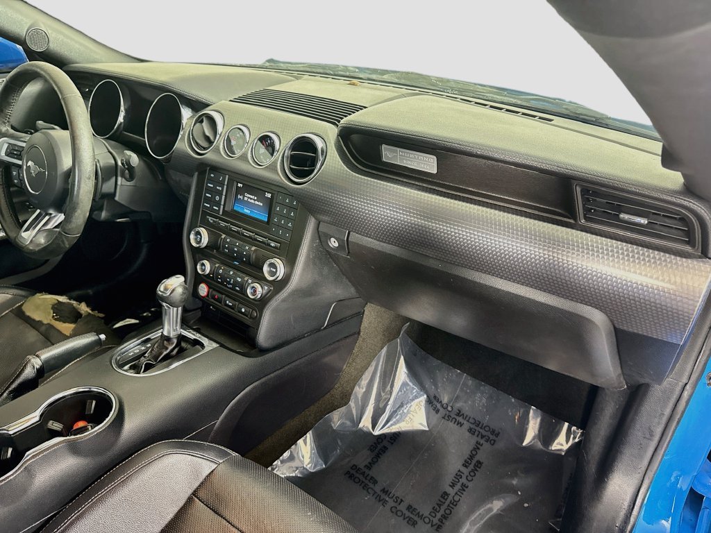 Used 2017 Grabber Blue Ford EcoBoost image 24