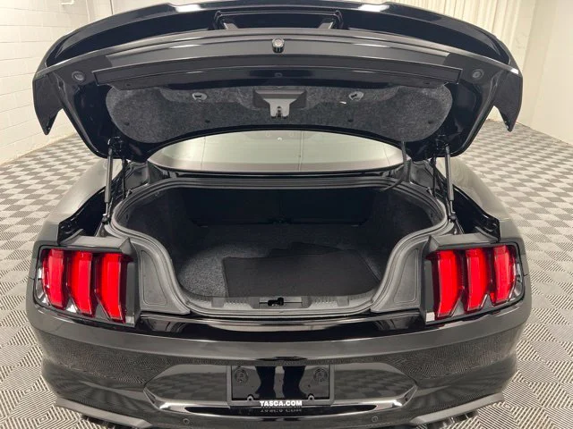 Used 2019 Black Ford GT Premium image 8