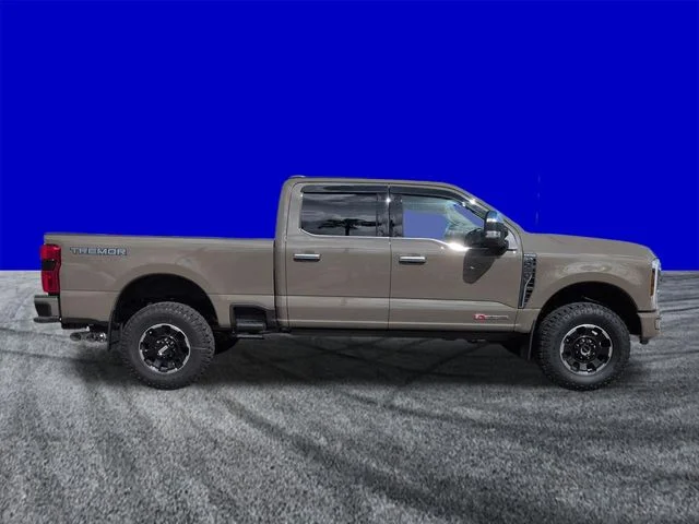 New 2027 Gray Ford Platinum image 3