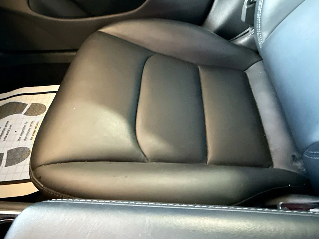 Used 2019  Tesla Standard Range Plus image 17