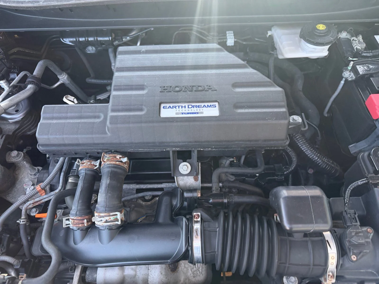 Used 2020 Gray Honda EX-L image 7