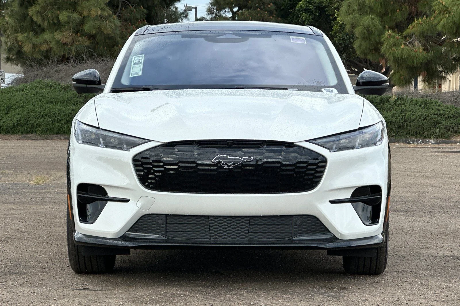 New 2026 Star White Metallic Tri-coat Ford Premium image 5