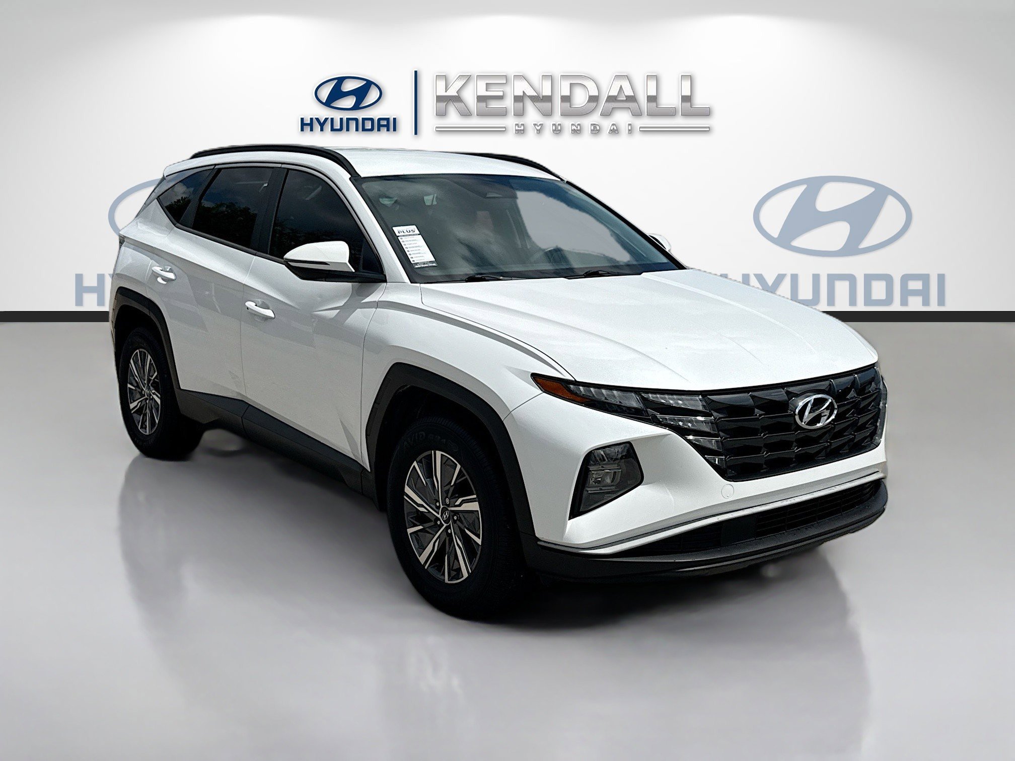 2022 Hyundai Tucson Blue