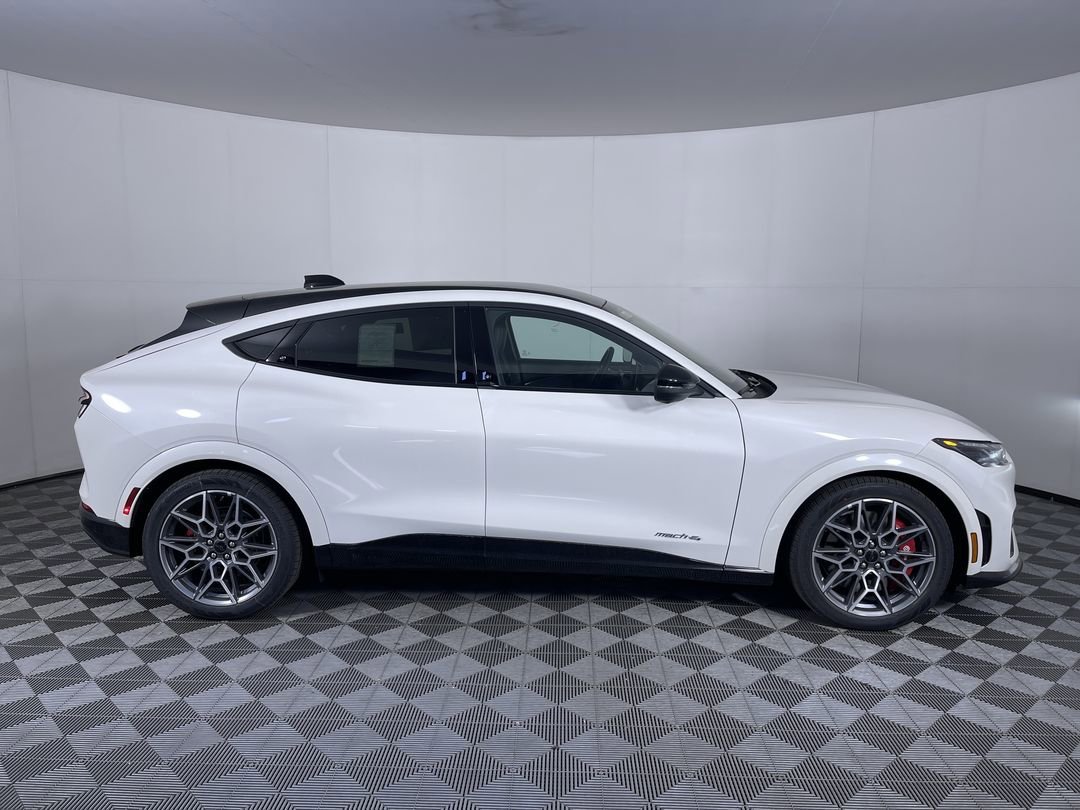 2025 Ford Mustang Mach-E GT - Photo 10