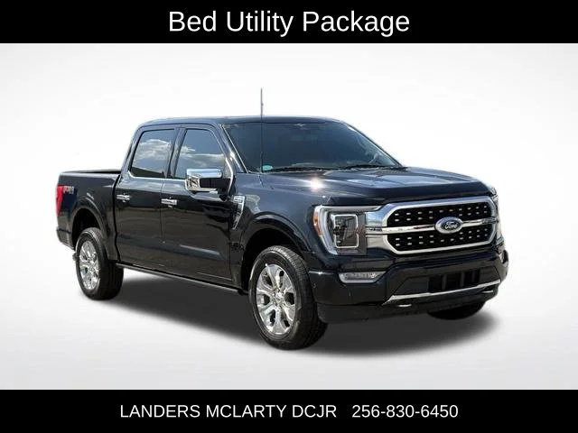 Used 2023 Black Ford Platinum image 10