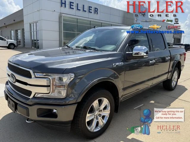 Used 2018 Magnetic Metallic Ford Platinum image 1