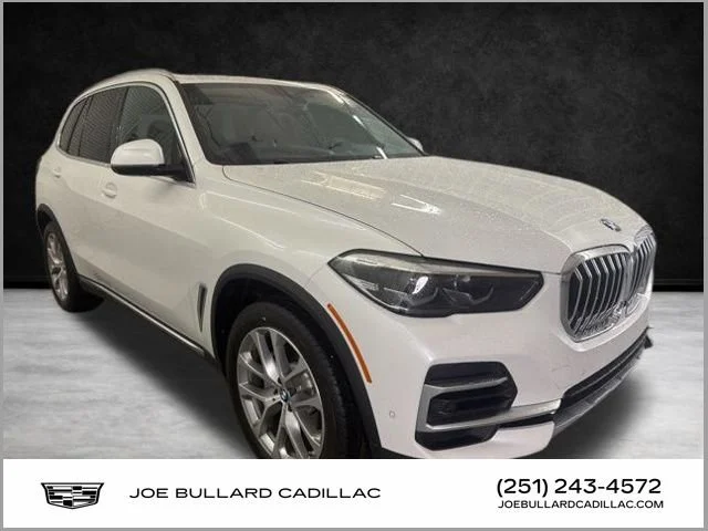 2023 BMW X5 sDrive40i's photo