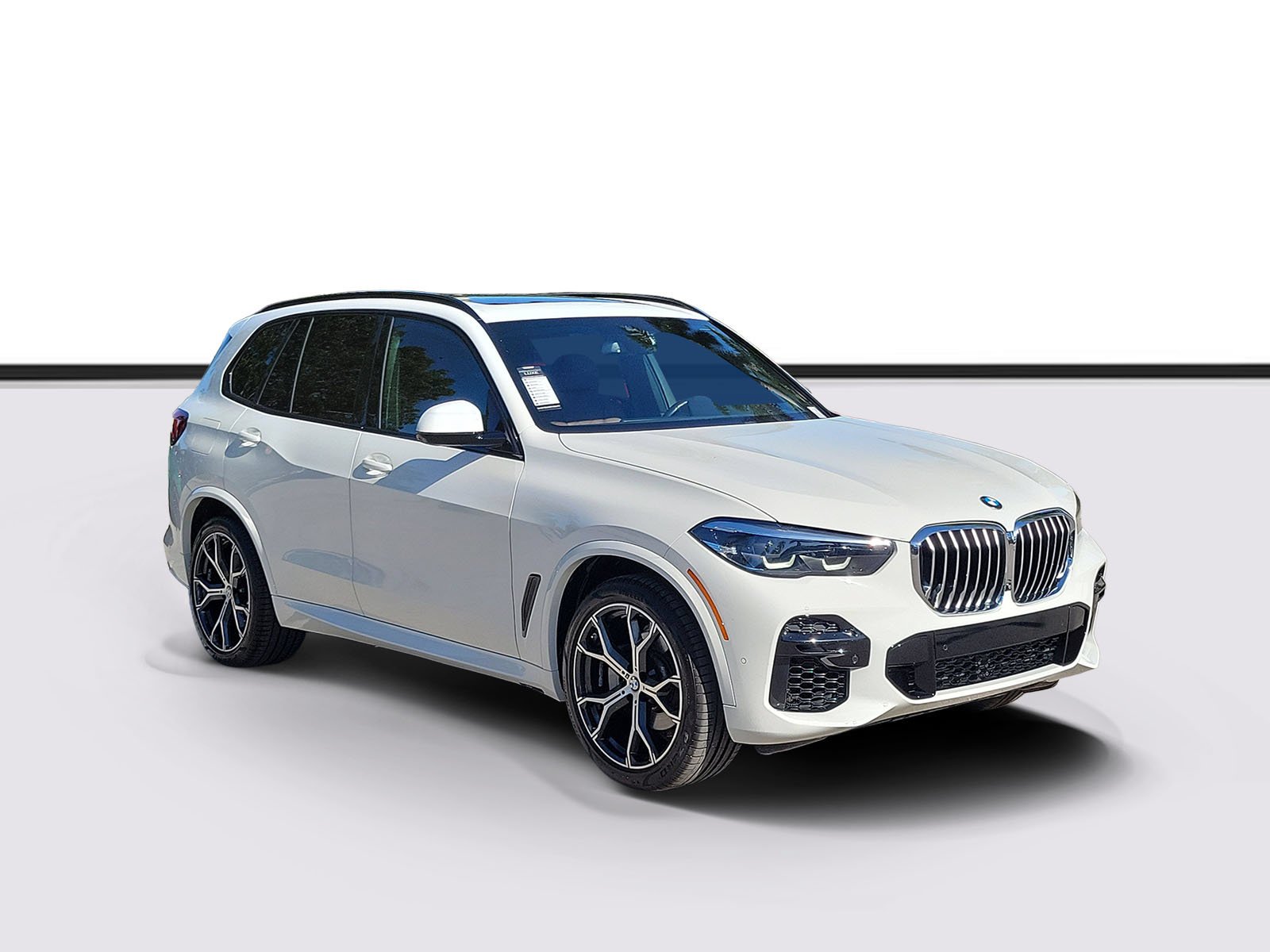 2023 BMW X5